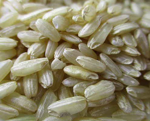 granos arroz