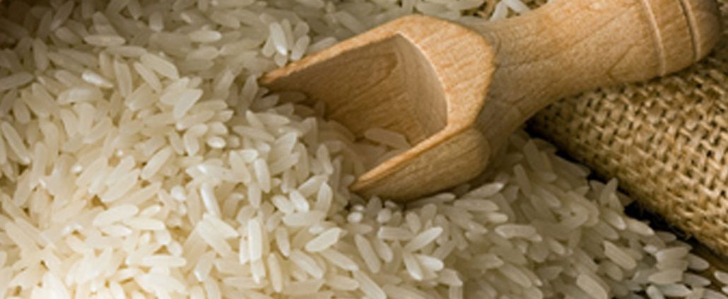 arroz-caracteristicas